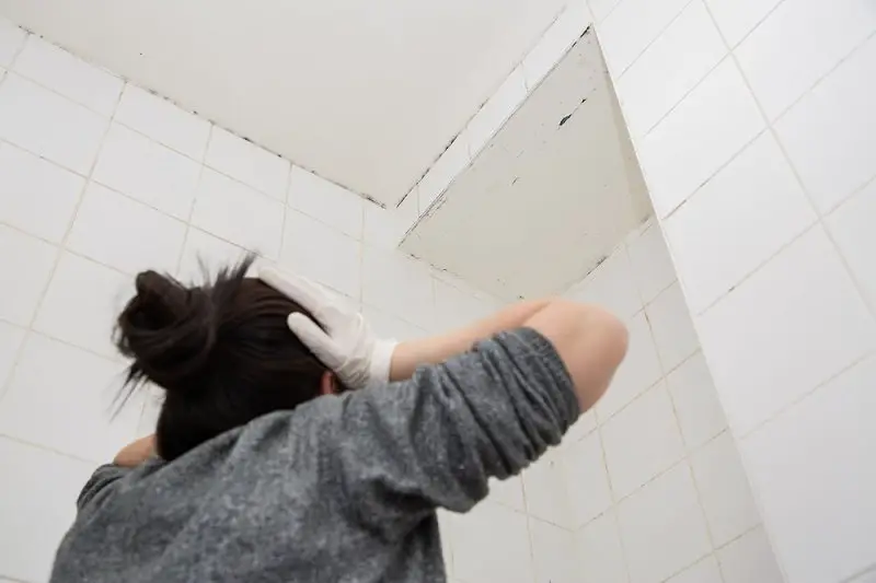 (Moldy Bathrooms!) How To Clean Mold Off The Ceiling Above ...