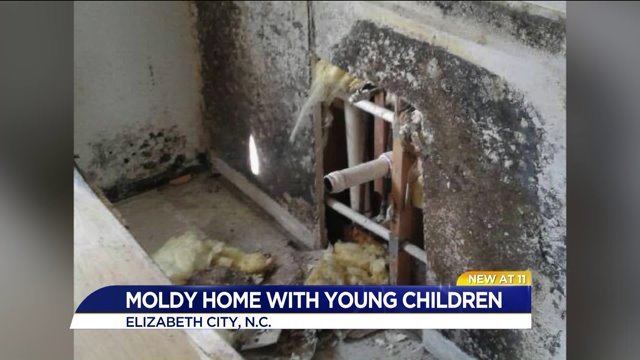 Mom worried about living in apartment with black mold with ...