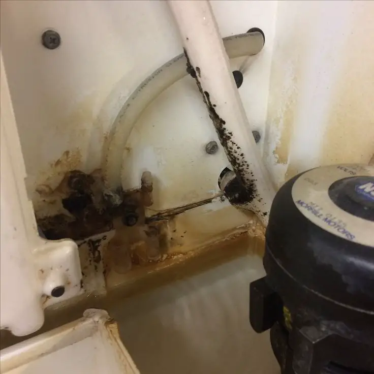 More black mold dripping into the ice bin