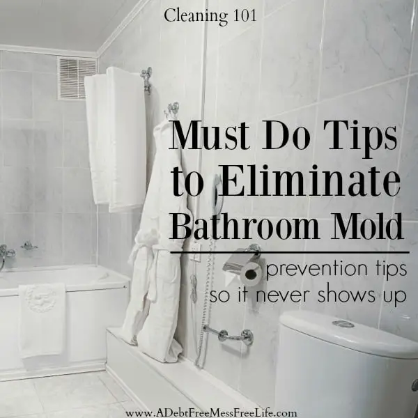 Must Do Tips To Eliminate Shower Mold