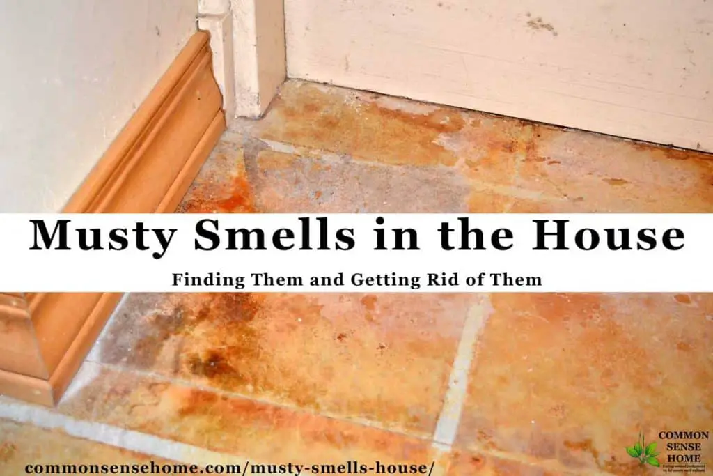 Musty Smells in the House