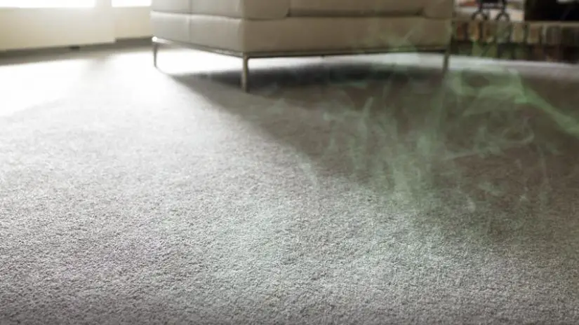 My Carpet Smells Like Mildew After Cleaning, What Gives ...