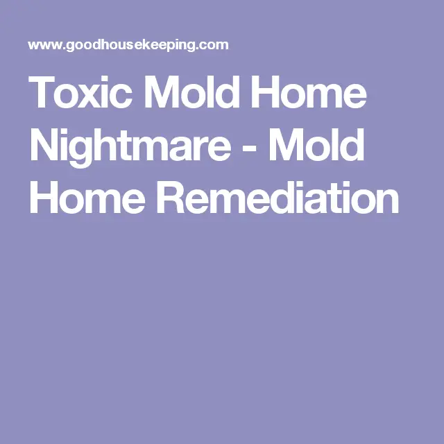 My Dream Home Turned Into a Toxic Mold Nightmare