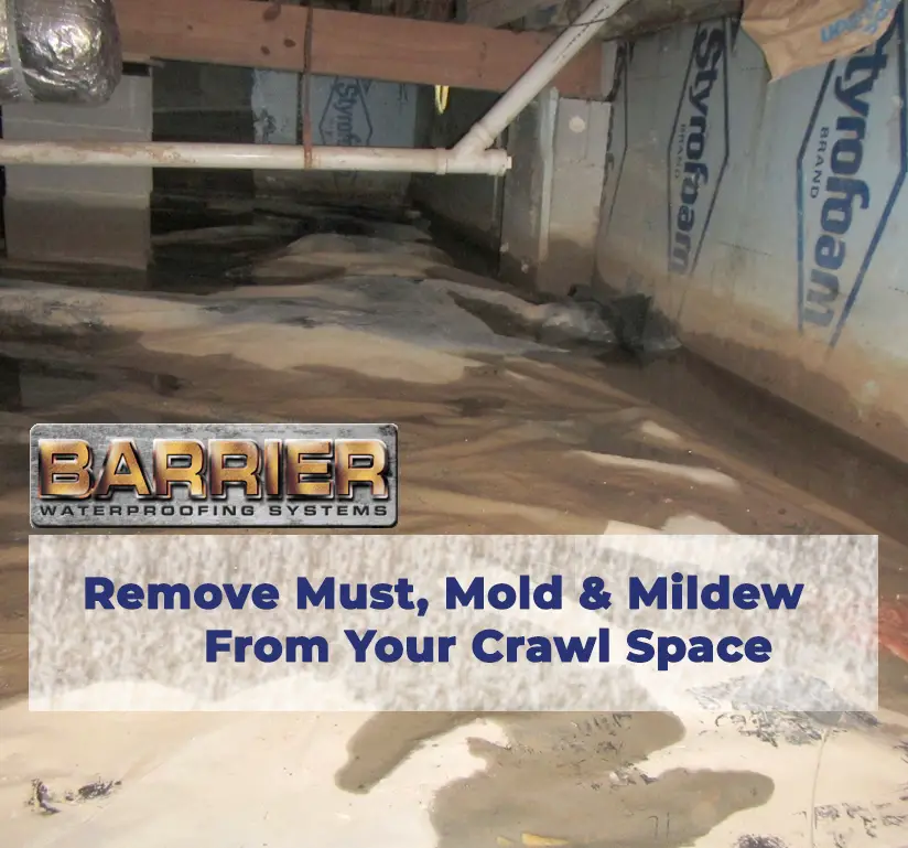 Nashville, TN  Company Removing Musty Mold &  Mildew In Your Crawl Space