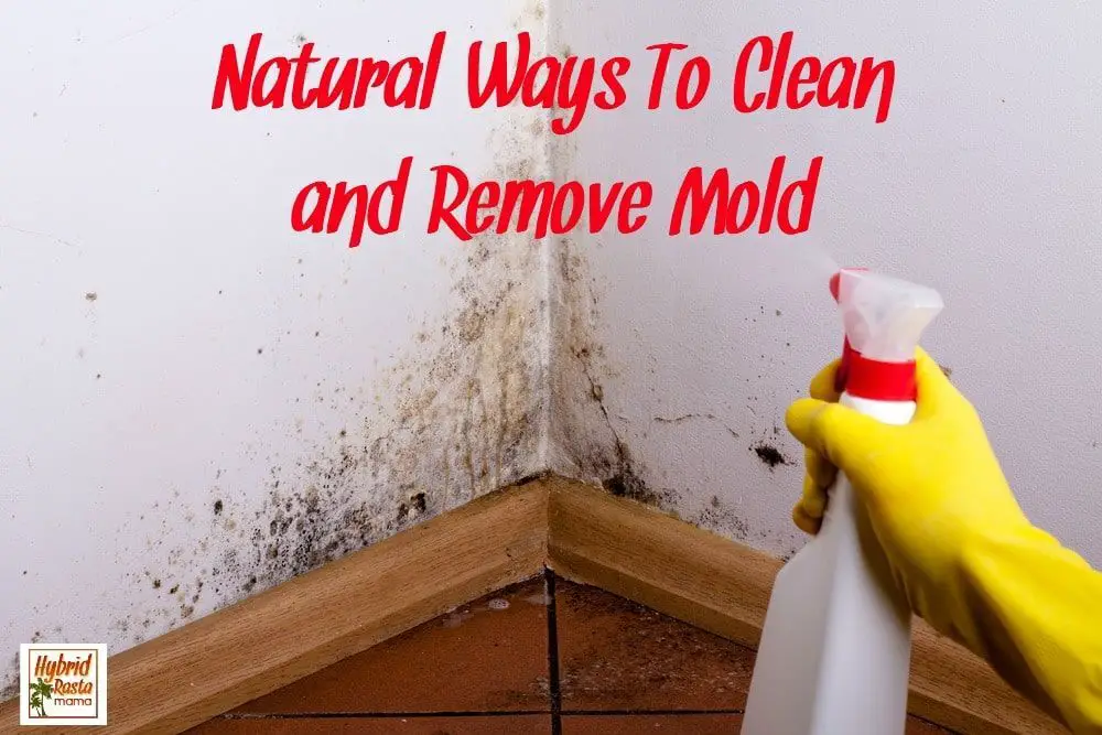 Natural ways to clean and remove mold