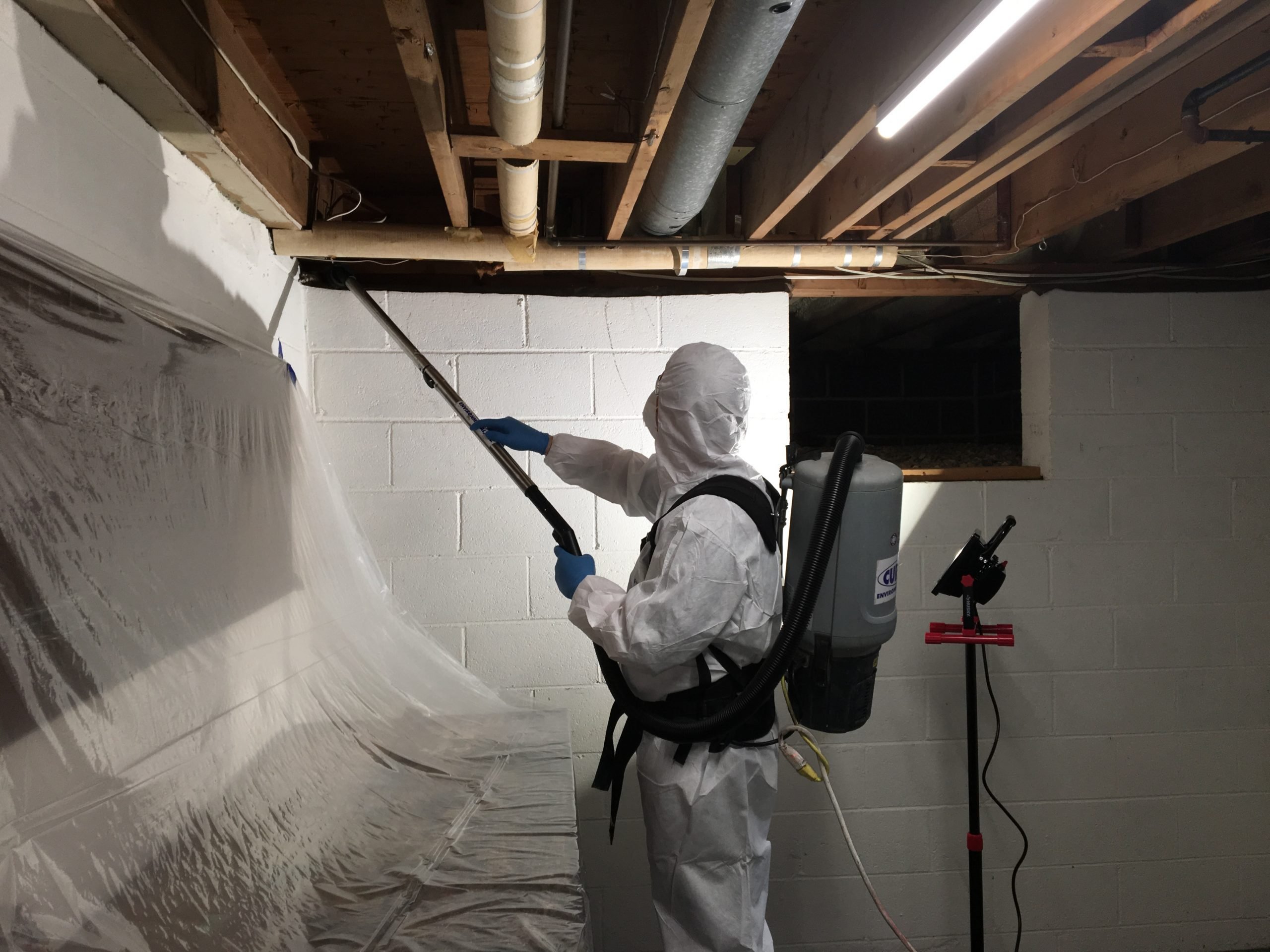 New Jersey Certified Mold Remediation, Removal, Testing and Inspection ...