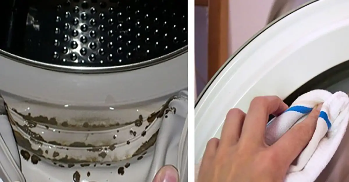 No One Knows That Toxic Mold is Hiding in Their Washing Machine! Heres ...