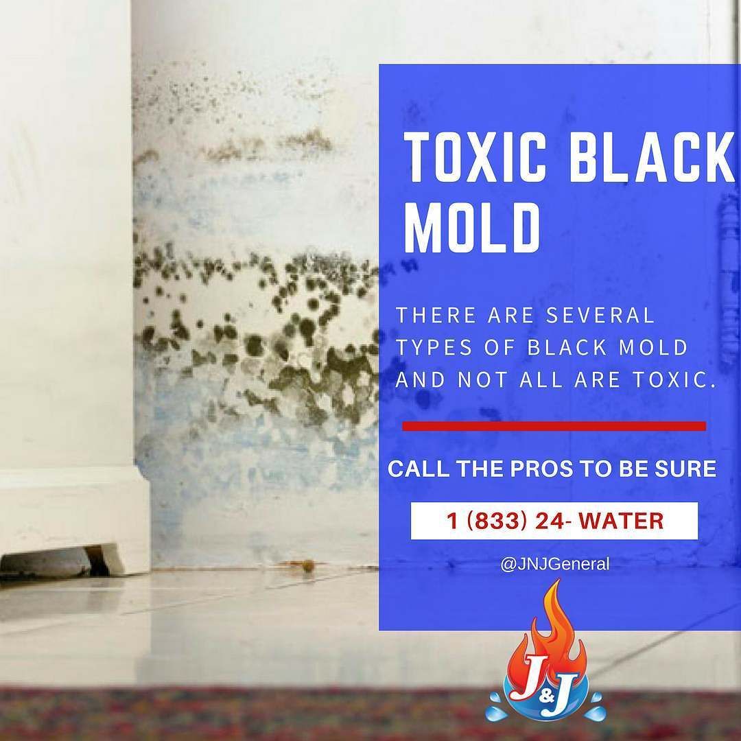 Not all #mold is toxic but how can you really know? Don