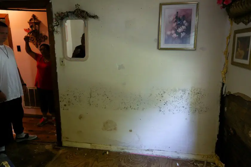 Nowhere To Go: When Living With Mold Is Your Only Option