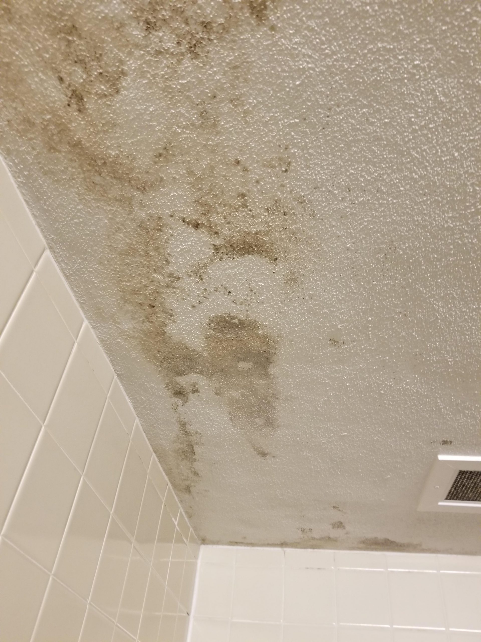 Only at NAU gabladon dorm does mold grow on ur bathroom ...