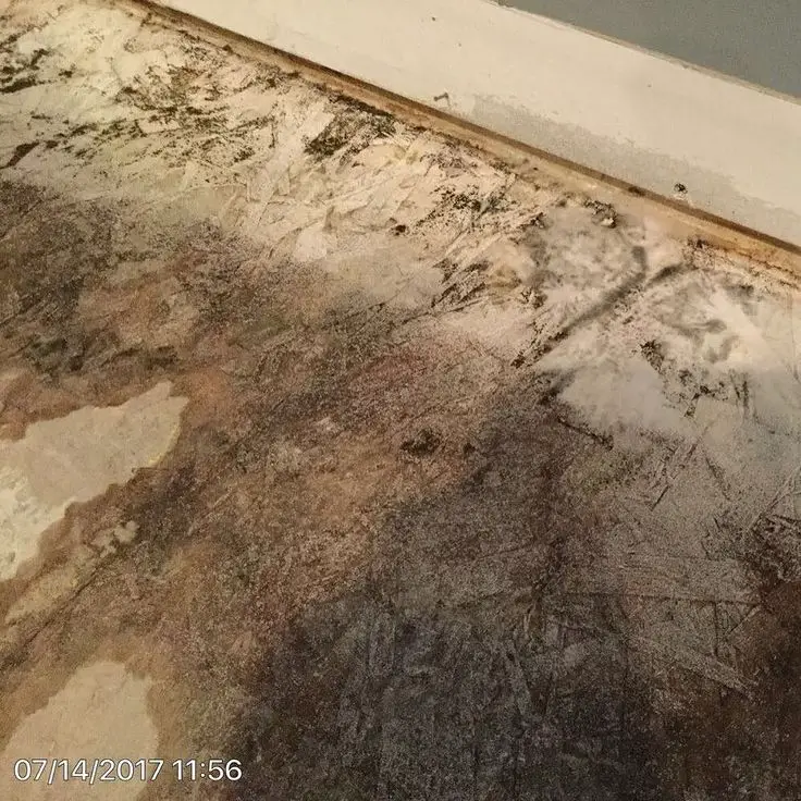 Our #Servpro technicians found #mold while removing #laminate #flooring ...