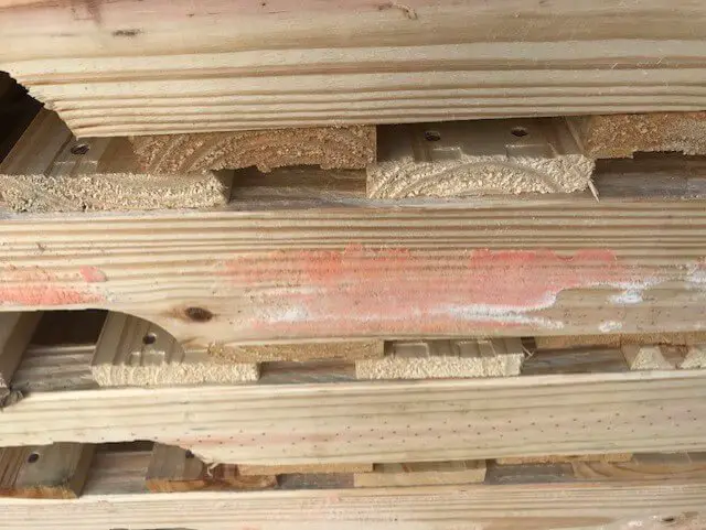 Pallet Mold: 7 Tips To Prevent Mold On Wood Pallets?