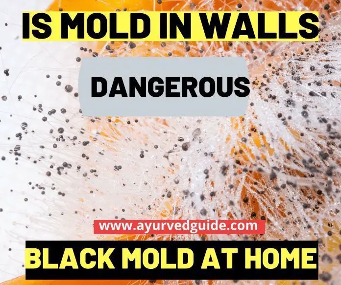 Pin by Victoria B Hall on black mold
