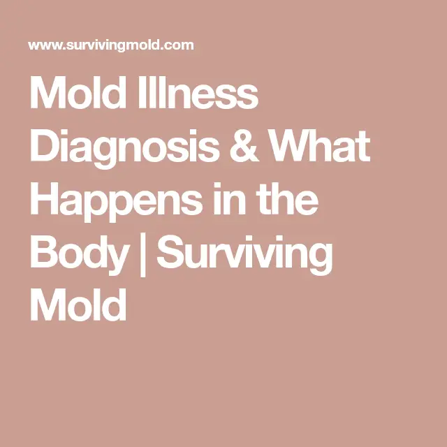 Pin on C.I.R.S. Mold &  Lyme Disease