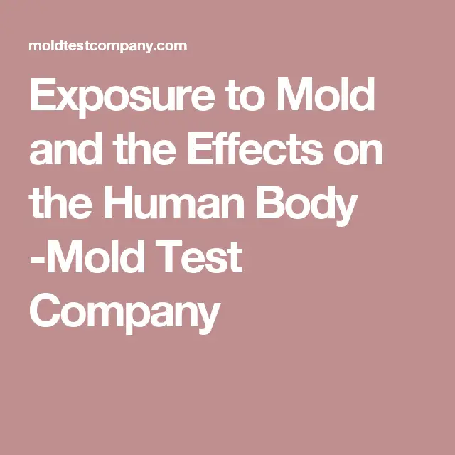 Pin on Effects on human body Black Mold
