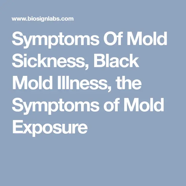 Pin on Mold &  Your Health