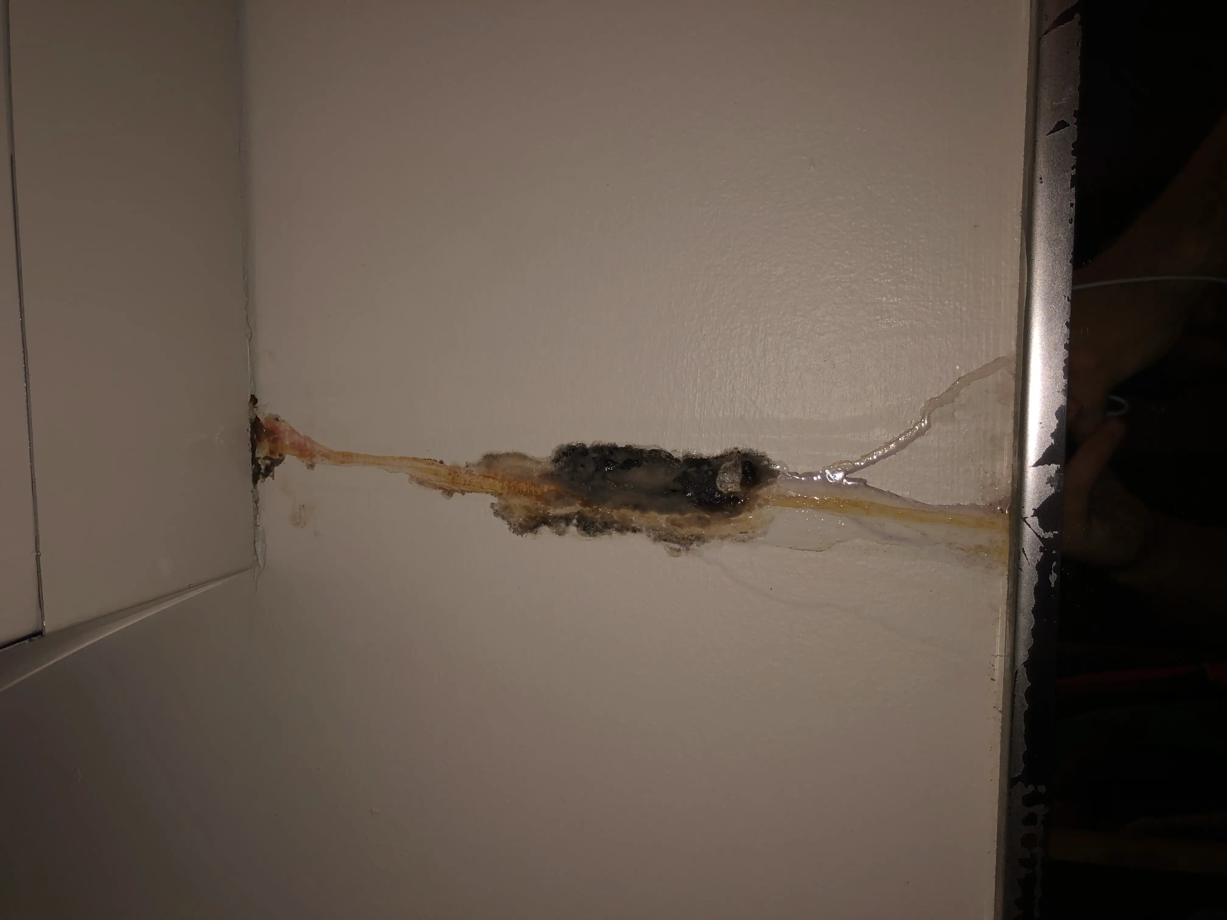 Potential mold problems? This was coming from the AC unit ...