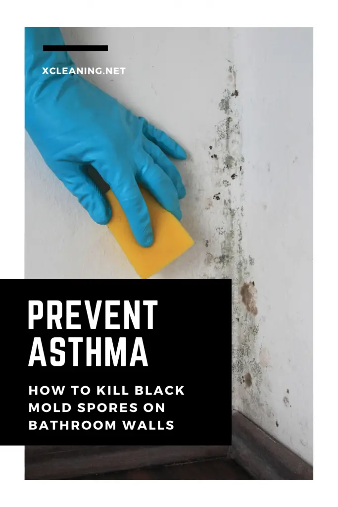 Prevent Asthma: How To Kill Black Mold Spores On Bathroom Walls ...