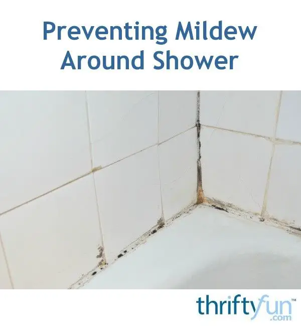 Preventing Mildew Around the Shower?