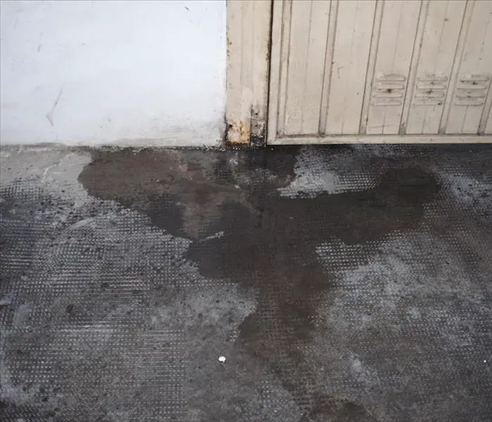 Remediating Mold Damage in Your Elkhorn Garage Protects the Rest of ...