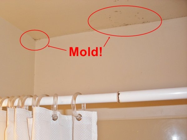 Remodeling Your Bathroom: What to Do If You Find Mold