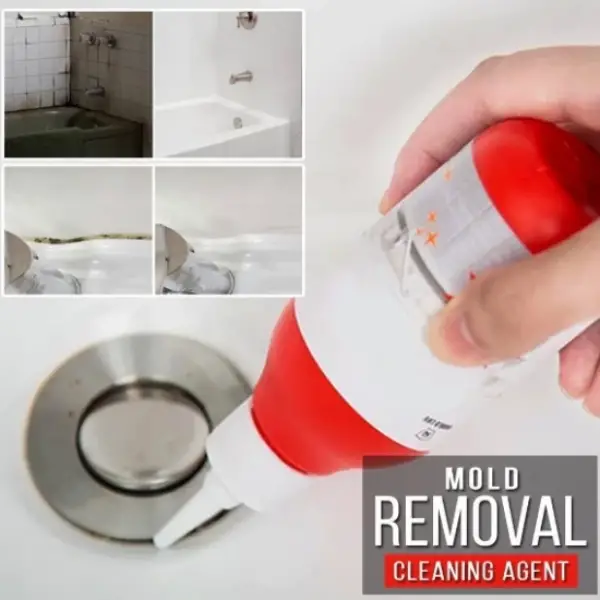Remove and prevent dangerous mold from growing in your home with ...