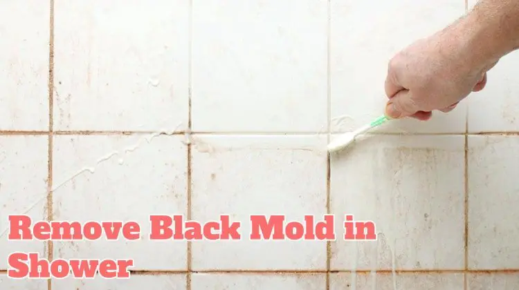 Remove Black Mold in Shower and Other Types of Mildew in ...