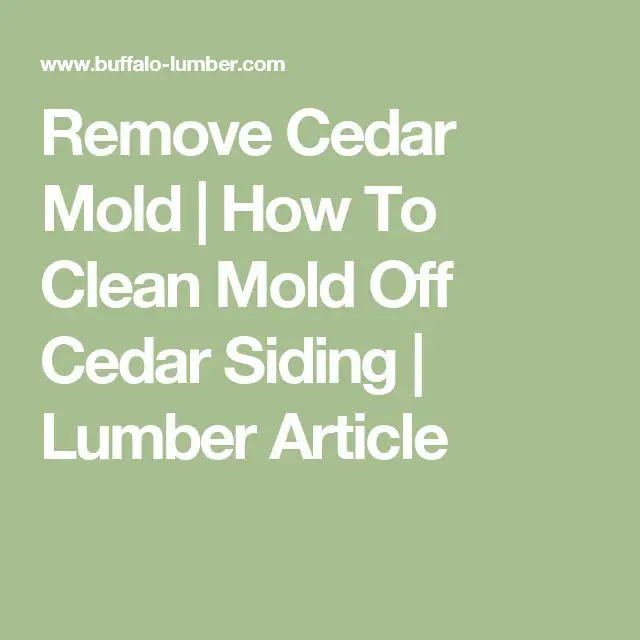 Remove Cedar Mold