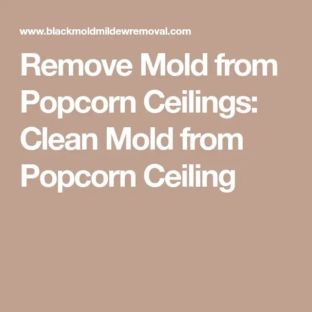 Remove Mold from Popcorn Ceilings: Clean Mold from Popcorn Ceiling ...