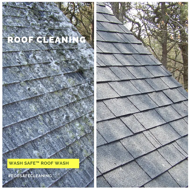 Removing Fungus, Mildew, Algae And More From Roofs