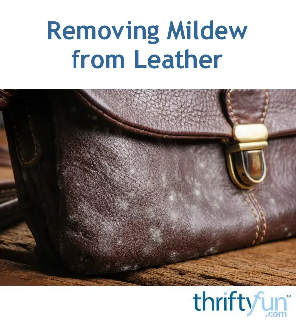 Removing Mildew from Leather