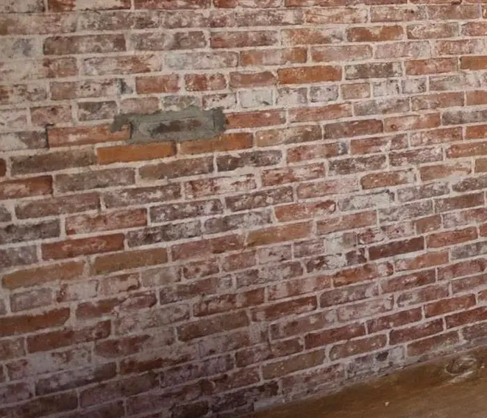 Removing mold from brick