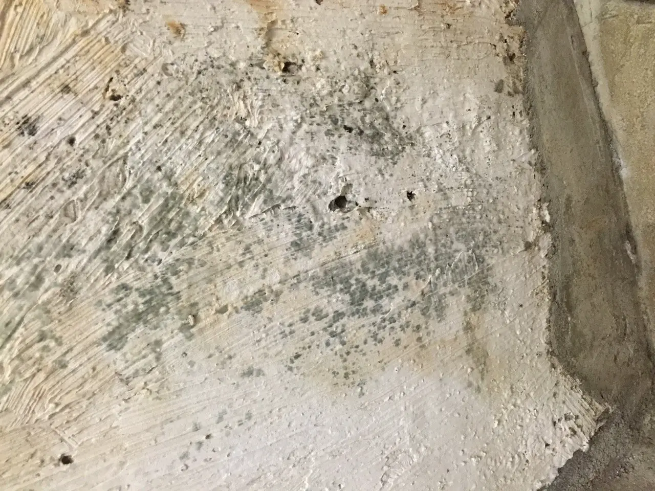 Removing mold from concrete foundation (cleaning, leaking ...