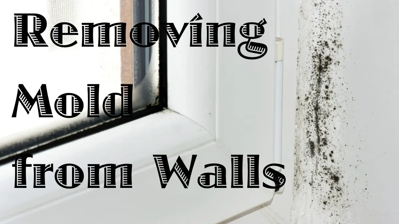 Removing Mold from Walls