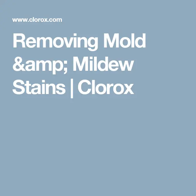Removing Mold &  Mildew Stains
