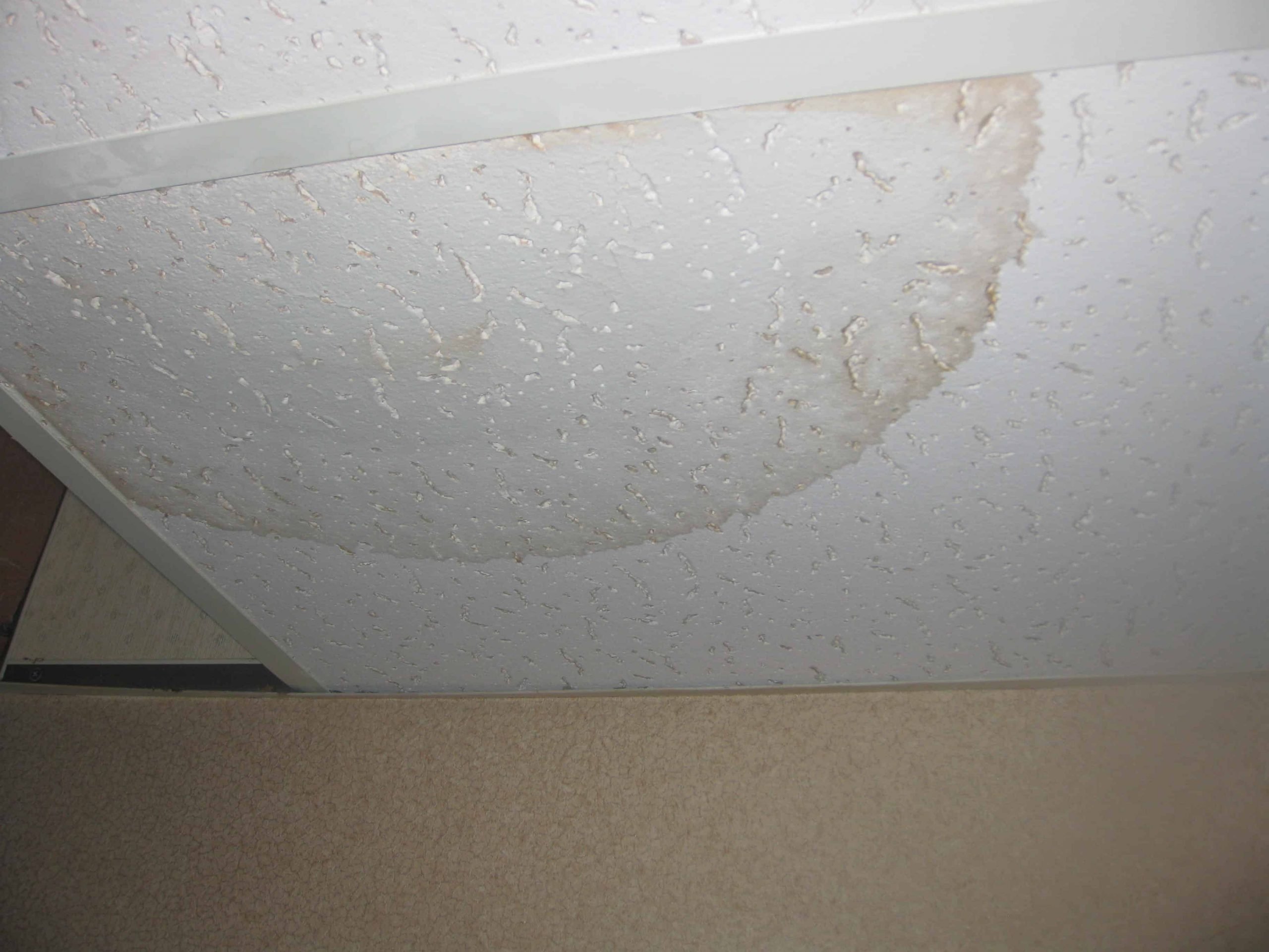 Removing Mold on Ceiling and Keep it From Returning