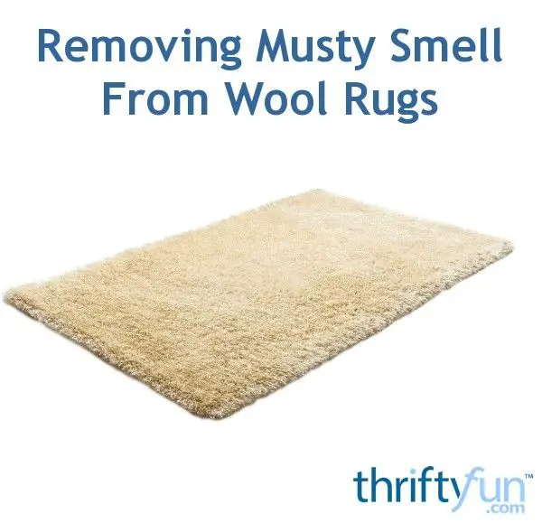 Removing Musty Smell From Wool Rugs?