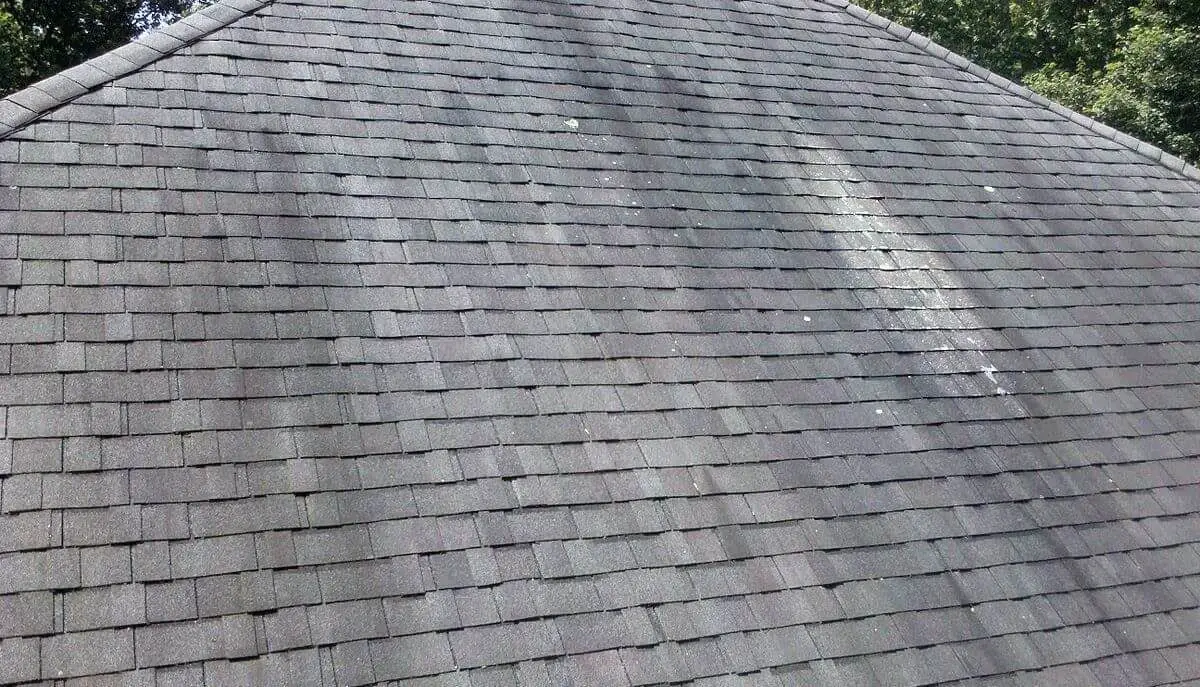 Roof Cleaning in Palm Coast  Get Rid of Ugly Roof Stains ...