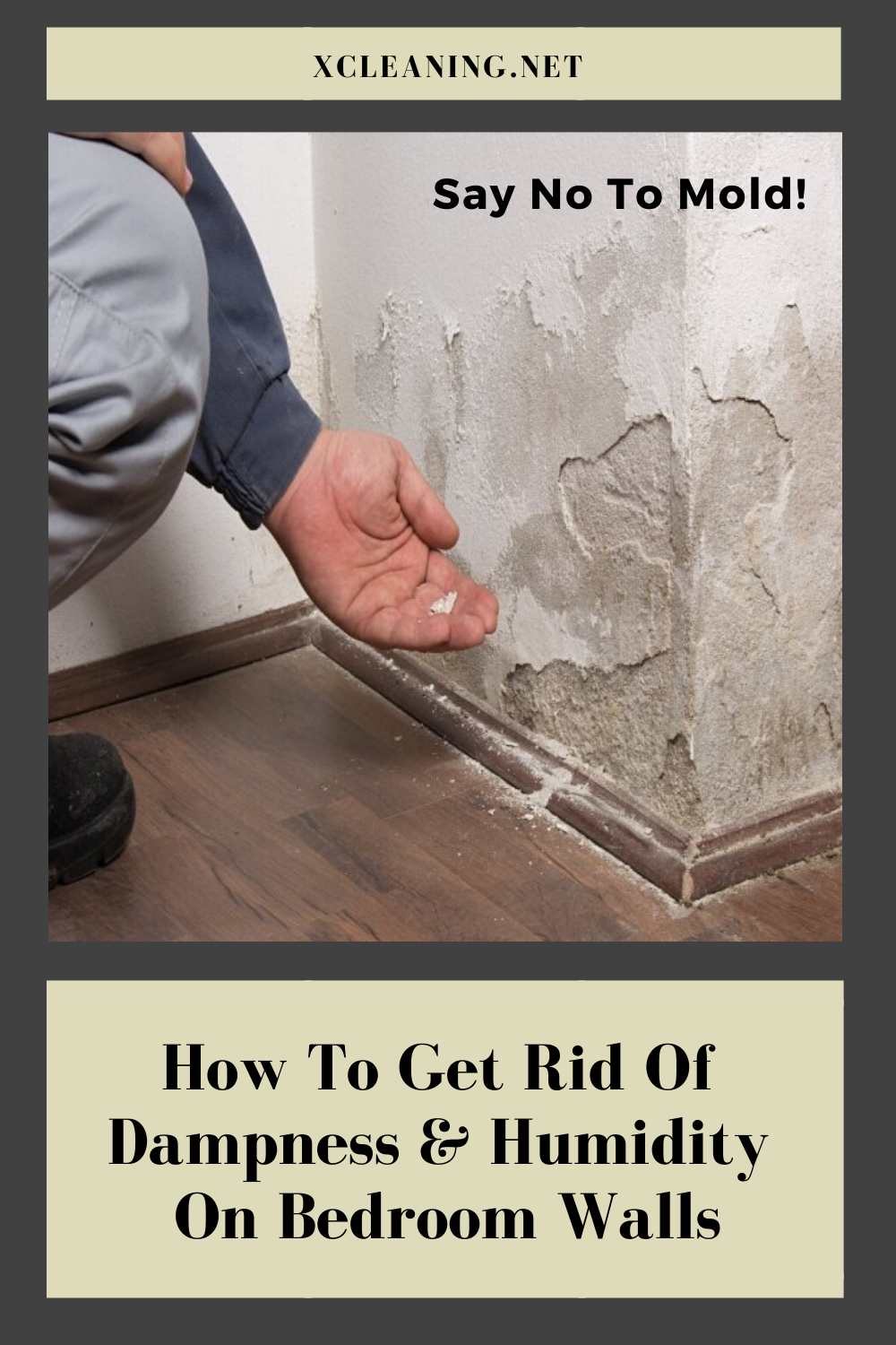 Say No To Mold! How To Get Rid Of Dampness And Humidity On Bedroom ...