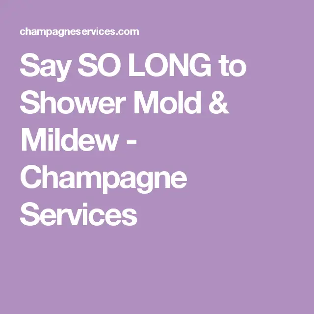 Say SO LONG to Shower Mold &  Mildew