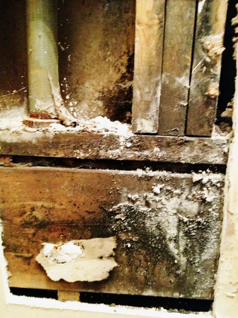 Selling A House With Mold Damage