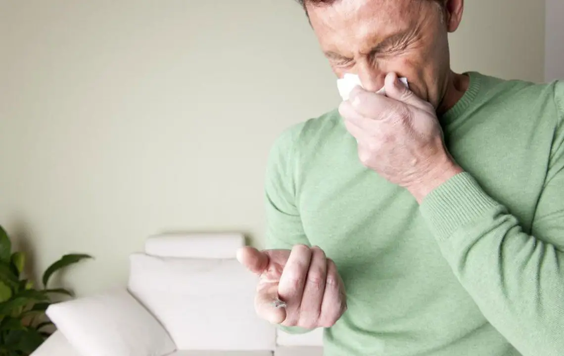 Signs and symptoms of mold allergy » blog.shoppersphere.com