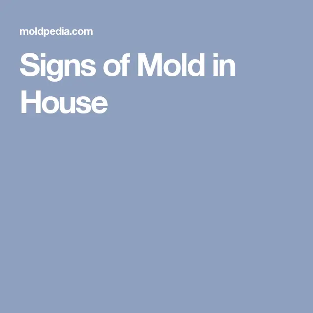 Signs of Mold in House