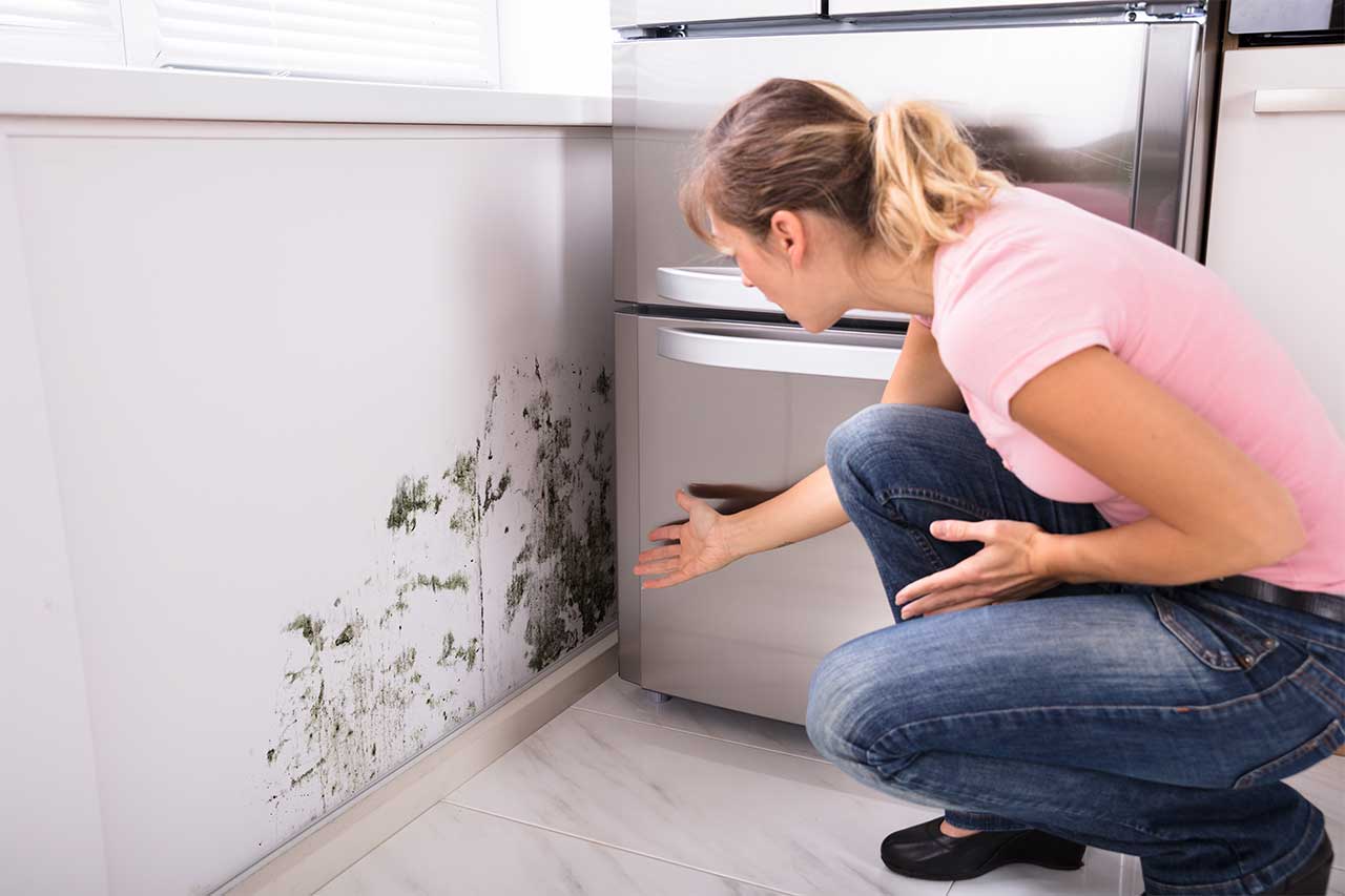 Signs Your Home Has Mold Contamination