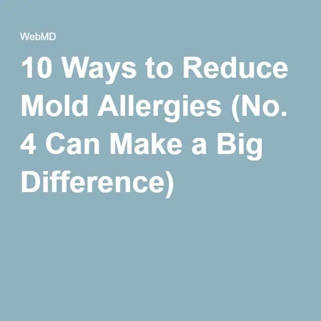 Slideshow: 10 Ways to Reduce Mold Allergies