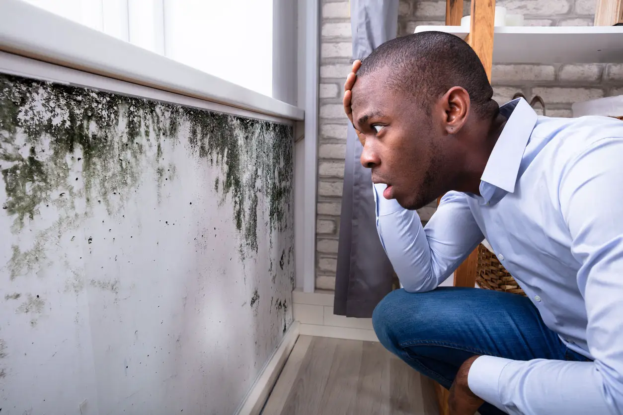 Solved! Does Homeowners Insurance Cover Mold?