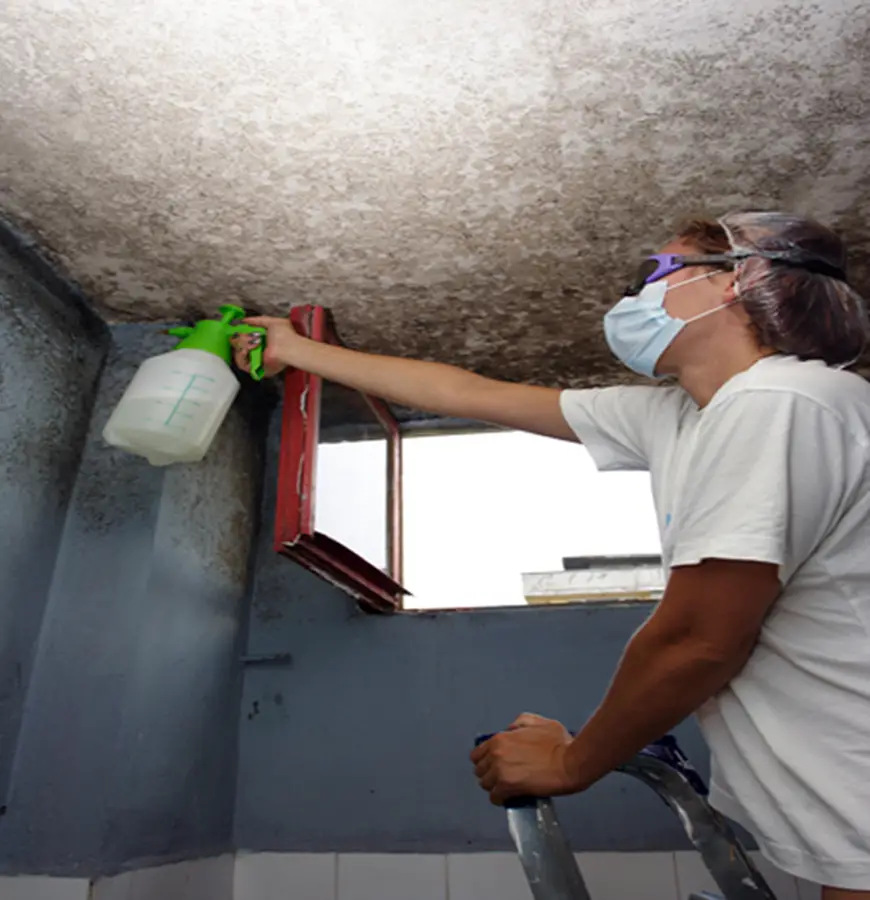 South Atlanta Construction effective and safe mold remediation means: