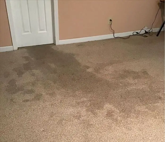 State Farm Covers Water Damage To Your Home
