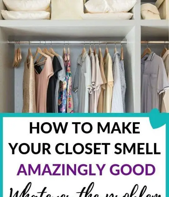 Stop Musty Smell In Wardrobe