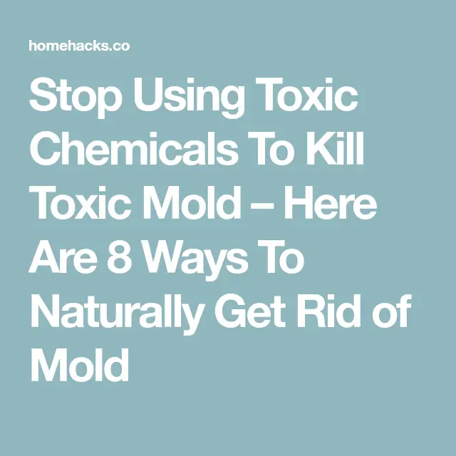 Stop Using Toxic Chemicals to Kill Toxic Mold